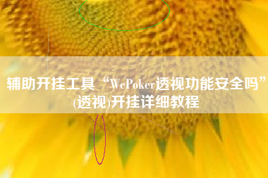辅助开挂工具“WePoker透视功能安全吗”(透视)开挂详细教程