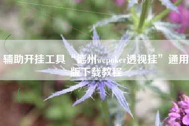 辅助开挂工具“德州wepoker透视挂	”通用版下载教程
