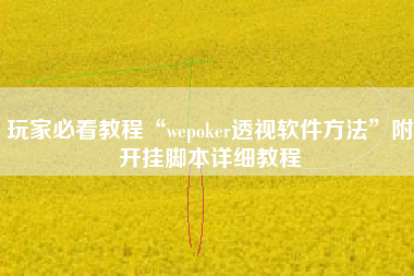 玩家必看教程“wepoker透视软件方法”附开挂脚本详细教程