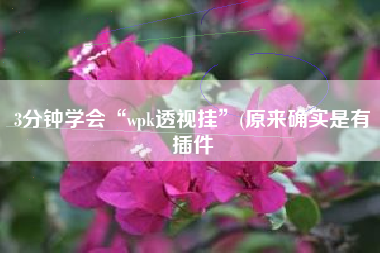 3分钟学会“wpk透视挂	”(原来确实是有插件