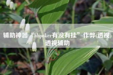 辅助神器“hhpoker有没有挂”作弊(透视)透视辅助