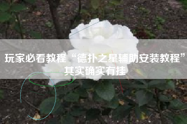 玩家必看教程“德扑之星辅助安装教程	”其实确实有挂