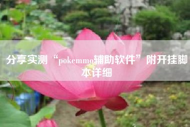 分享实测“pokemmo辅助软件	”附开挂脚本详细