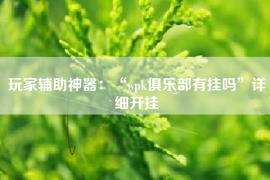 玩家辅助神器：“wpk俱乐部有挂吗”详细开挂