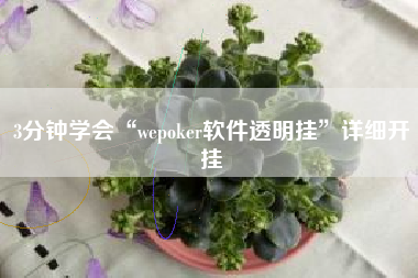 3分钟学会“wepoker软件透明挂”详细开挂