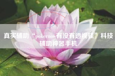真实辅助“pokernow有没有透视挂”科技辅助神器手机