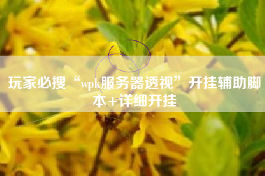 玩家必搜“wpk服务器透视	”开挂辅助脚本+详细开挂