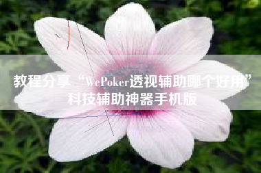 教程分享“WePoker透视辅助哪个好用”科技辅助神器手机版