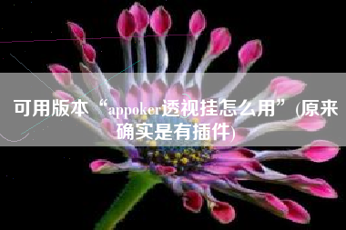 可用版本“appoker透视挂怎么用	”(原来确实是有插件)