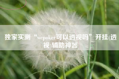 独家实测“wepoker可以透视吗”开挂(透视)辅助神器