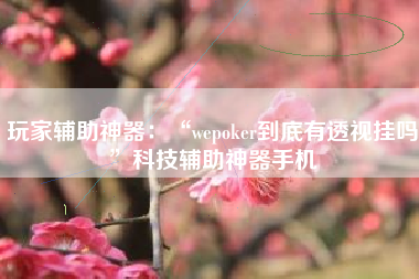 玩家辅助神器：“wepoker到底有透视挂吗	”科技辅助神器手机