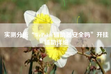 实测分析“WePoker辅助器安全吗”开挂辅助详细