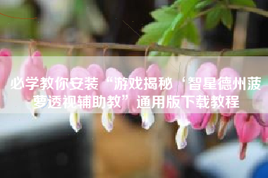 必学教你安装“游戏揭秘‘智星德州菠萝透视辅助教”通用版下载教程