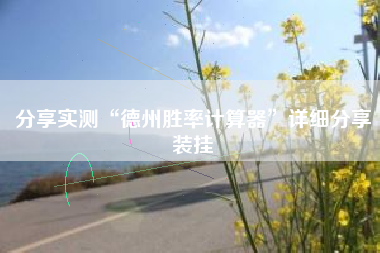 分享实测“德州胜率计算器”详细分享装挂