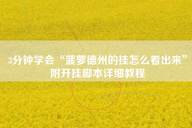 3分钟学会“菠萝德州的挂怎么看出来”附开挂脚本详细教程