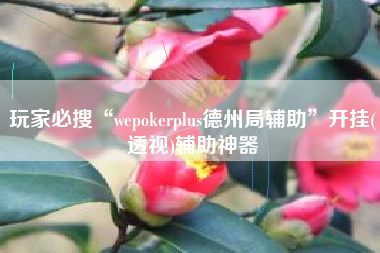 玩家必搜“wepokerplus德州局辅助	”开挂(透视)辅助神器