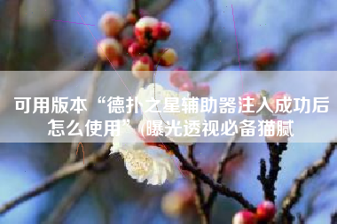 可用版本“德扑之星辅助器注入成功后怎么使用	”(曝光透视必备猫腻