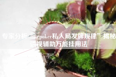 专家分析“wepoker私人局发牌规律”揭秘透视辅助万能挂用法