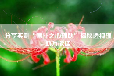 分享实测“德扑之心辅助”揭秘透视辅助万能挂