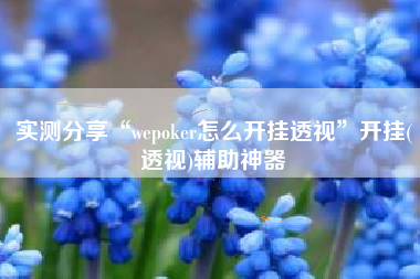 实测分享“wepoker怎么开挂透视”开挂(透视)辅助神器