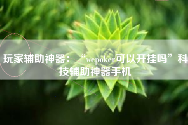 玩家辅助神器：“wepoker可以开挂吗”科技辅助神器手机