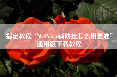 指定教程“WePoker辅助挂怎么用更准	”通用版下载教程