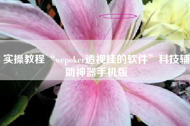 实操教程“wepoker透视挂的软件”科技辅助神器手机版