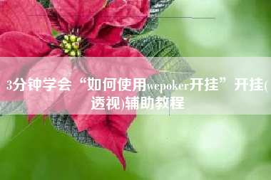 3分钟学会“如何使用wepoker开挂”开挂(透视)辅助教程