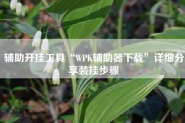 辅助开挂工具“WPK辅助器下载	”详细分享装挂步骤