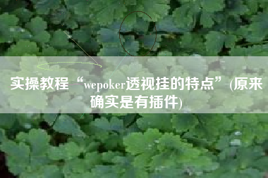 实操教程“wepoker透视挂的特点	”(原来确实是有插件)