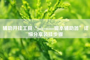 辅助开挂工具“pokemmo脚本辅助器”详细分享装挂步骤