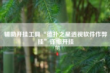 辅助开挂工具“德扑之星透视软件作弊挂	”详细开挂