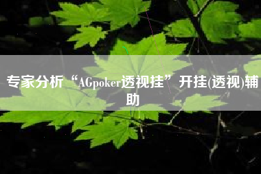 专家分析“AGpoker透视挂”开挂(透视)辅助
