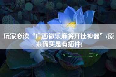 玩家必读“广西微乐麻将开挂神器”(原来确实是有插件)