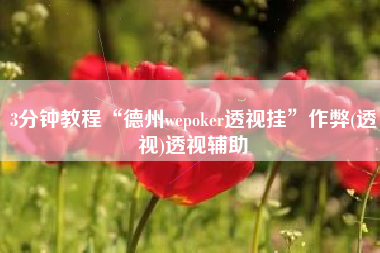 3分钟教程“德州wepoker透视挂”作弊(透视)透视辅助