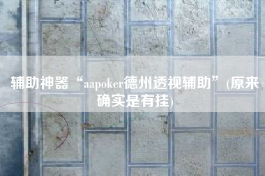 辅助神器“aapoker德州透视辅助	”(原来确实是有挂)