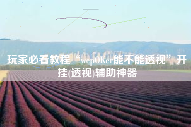 玩家必看教程“wepOKer能不能透视”开挂(透视)辅助神器