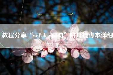 教程分享“wePoker辅助”附开挂脚本详细