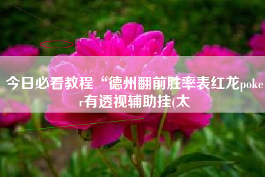今日必看教程“德州翻前胜率表红龙poker有透视辅助挂(太