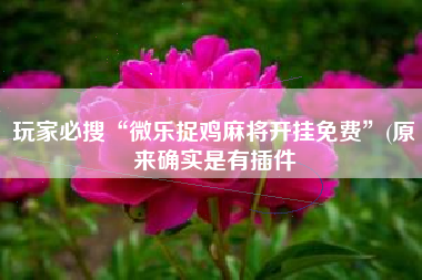 玩家必搜“微乐捉鸡麻将开挂免费	”(原来确实是有插件