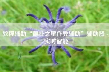 教程辅助“德扑之星作弊辅助”辅助器 - 实时智能