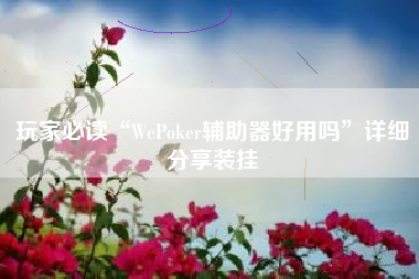 玩家必读“WePoker辅助器好用吗”详细分享装挂 玩家必读“WePoker辅助器好用吗”详细分享装挂