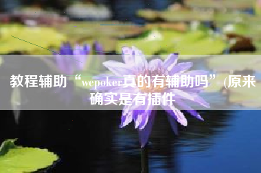 教程辅助“wepoker真的有辅助吗	”(原来确实是有插件