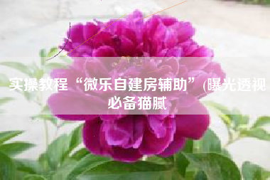 实操教程“微乐自建房辅助”(曝光透视必备猫腻
