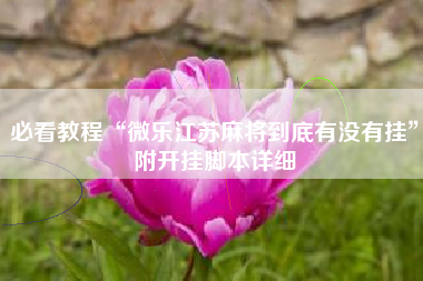 必看教程“微乐江苏麻将到底有没有挂”附开挂脚本详细