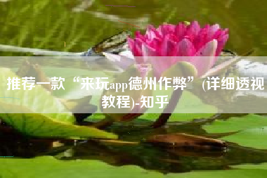 推荐一款“来玩app德州作弊	”(详细透视教程)-知乎