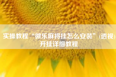 实操教程“微乐麻将挂怎么安装”(透视)开挂详细教程