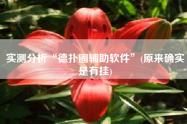 实测分析“德扑圈辅助软件”(原来确实是有挂) 实测分析“德扑圈辅助软件”(原来确实是有挂)