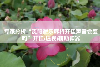 专家分析“贵阳微乐麻将开挂声音会变吗”开挂(透视)辅助神器