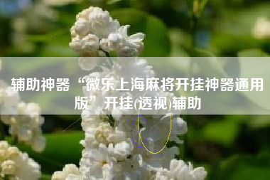 辅助神器“微乐上海麻将开挂神器通用版”开挂(透视)辅助